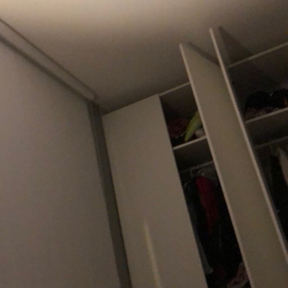 Meet your Posher, Ruby - Picture 1 of 1